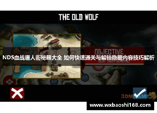 NDS血战唐人街秘籍大全 如何快速通关与解锁隐藏内容技巧解析