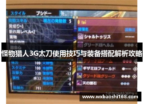 怪物猎人3G太刀使用技巧与装备搭配解析攻略