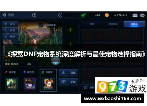 《探索DNF宠物系统深度解析与最佳宠物选择指南》
