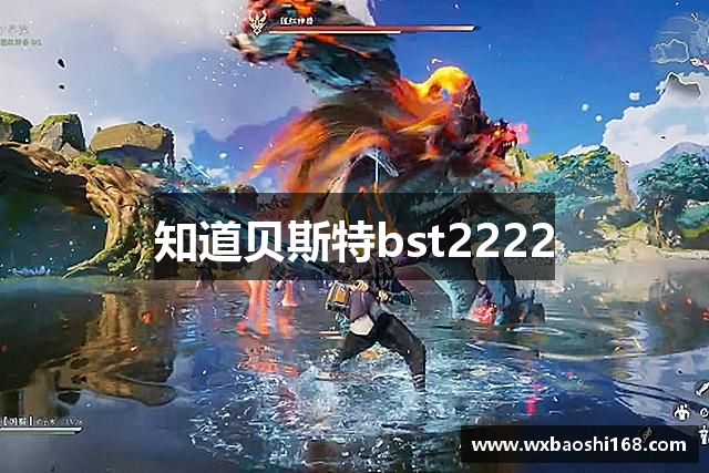 知道贝斯特bst2222